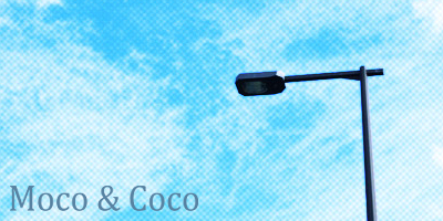 タイムラインイメージ