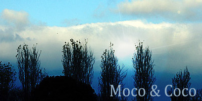 タイムラインイメージ